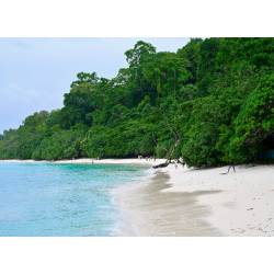 Bord de Mer à Koh Kood 53 Rai