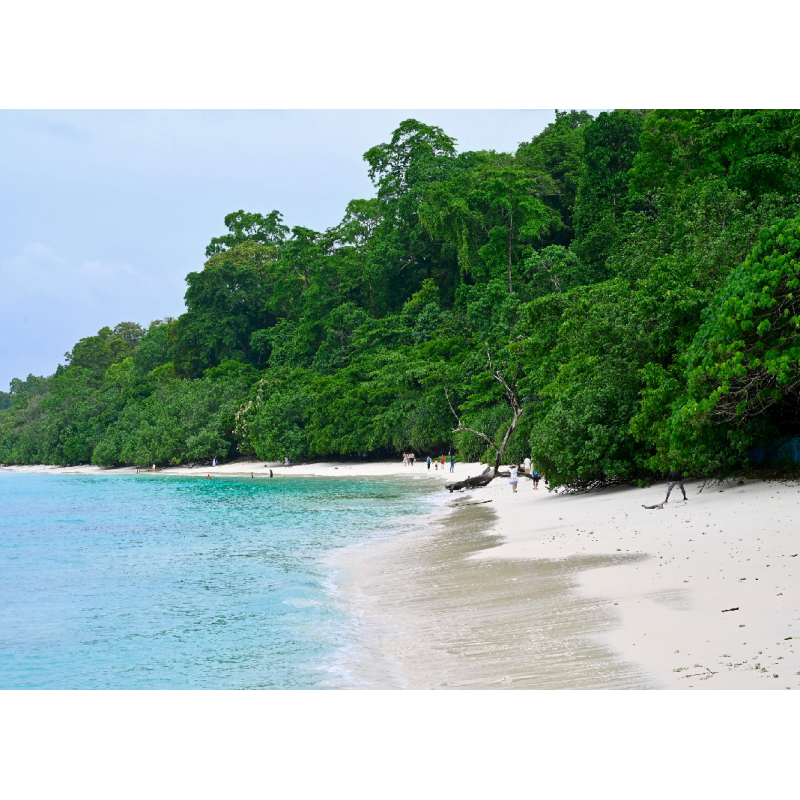 Bord de Mer à Koh Kood 53 Rai
