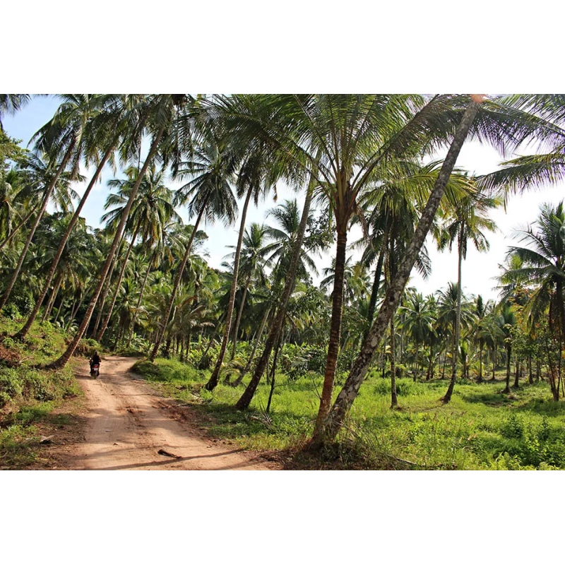 Koh Kood 2 Rai