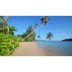2.31 Rai Beachfront Land in Koh mak